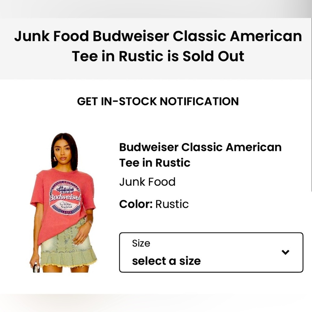 Junk Food Clothing Budweiser Tee in Rustic Red